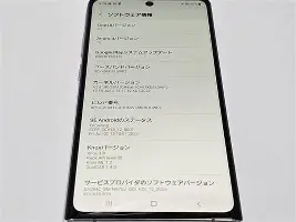 维尼修斯赛况扑朔迷离再成焦点的简单介绍